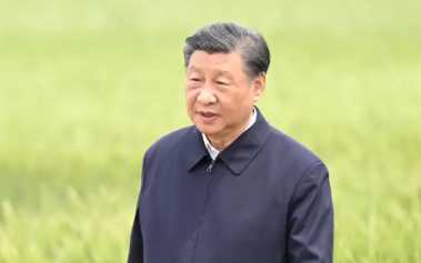 奋进的春天丨不负春时农桑忙