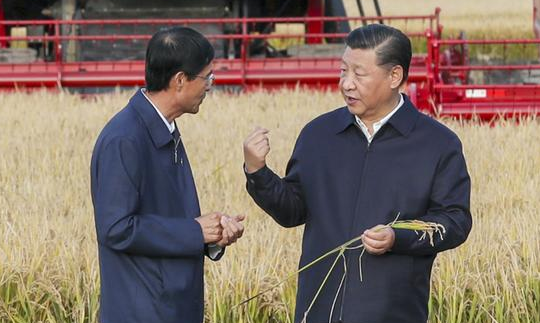 习语丨“中国要靠自力更生，自己养活自己！”