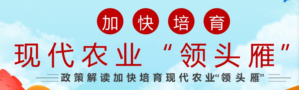 培育乡村振兴“领头雁”
