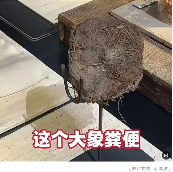 1744448736772.png