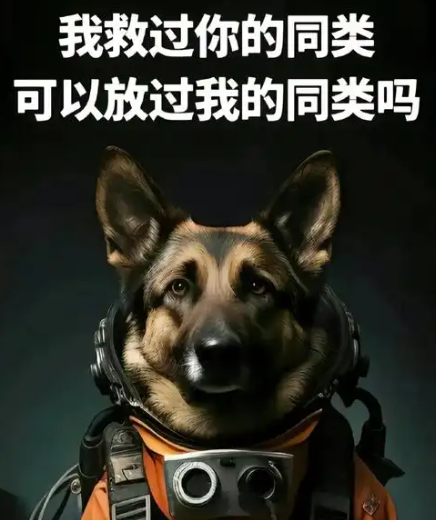 1745126446475.png