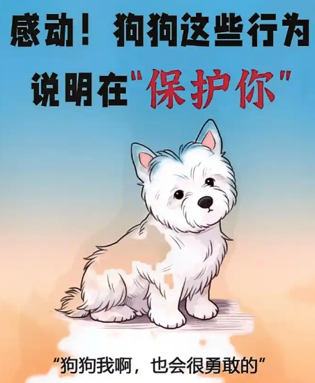 1745888051730.png