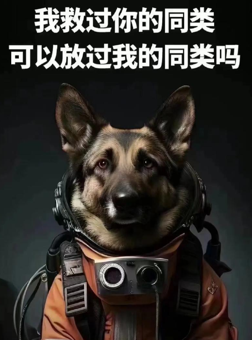 1745888411207.png