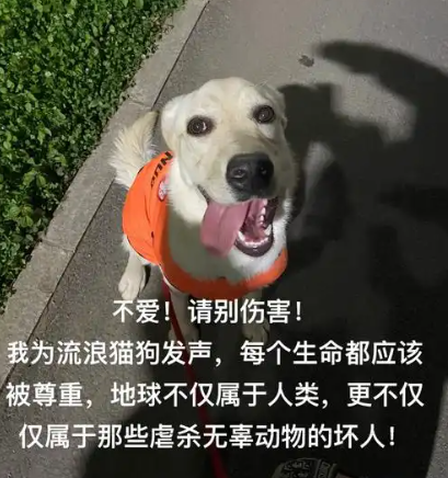 1745888350391.png