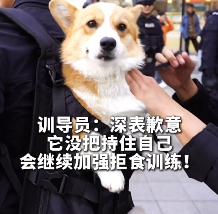 1745919637076.png