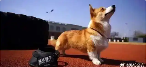 1746110964189.png