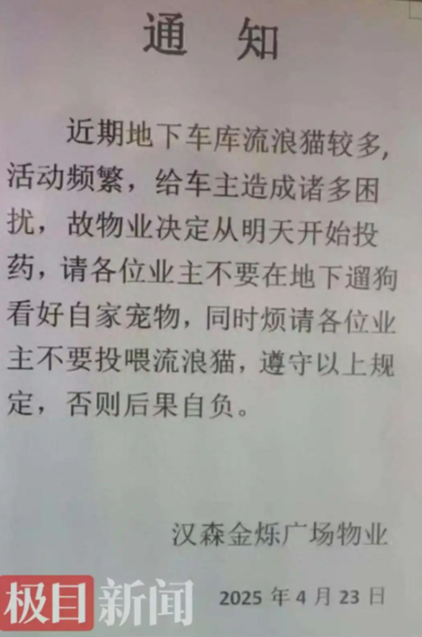 长春一小区投药应对流浪猫？律师：此举欠妥，应考虑家养宠物和幼童误食风险