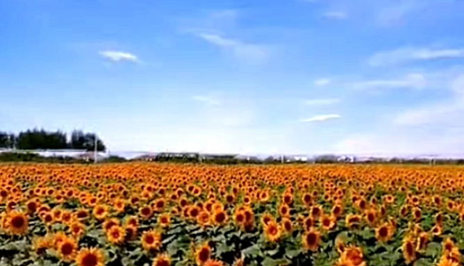 1746795754598.png