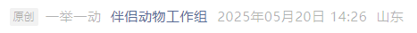 1747734796553.png