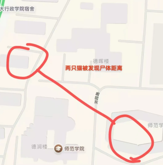 1747734697869.png