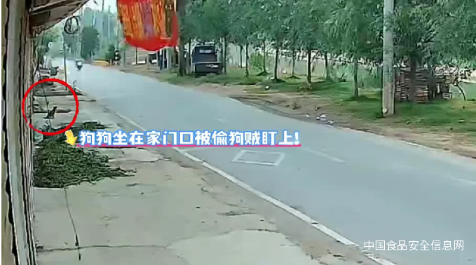 1749543489206.png