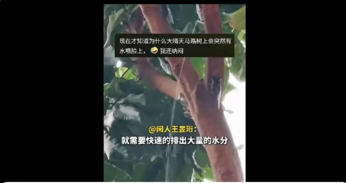 1753060101984.png