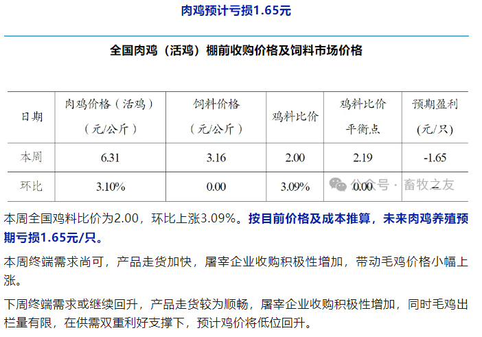 fe232481-67cb-4323-a3a3-5a71a4c8699a.png